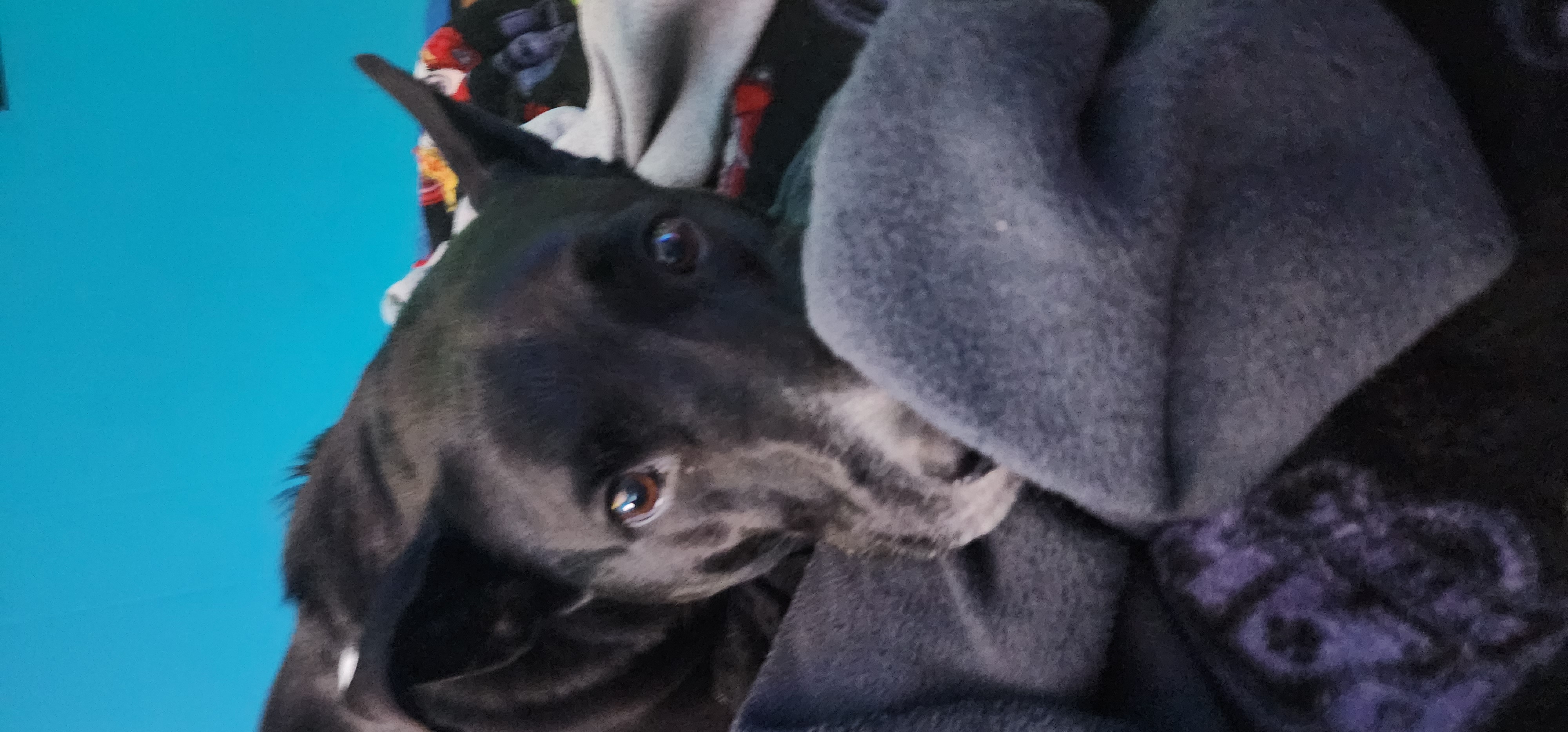 Casper (Crazy boy)